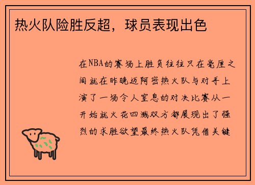 热火队险胜反超，球员表现出色